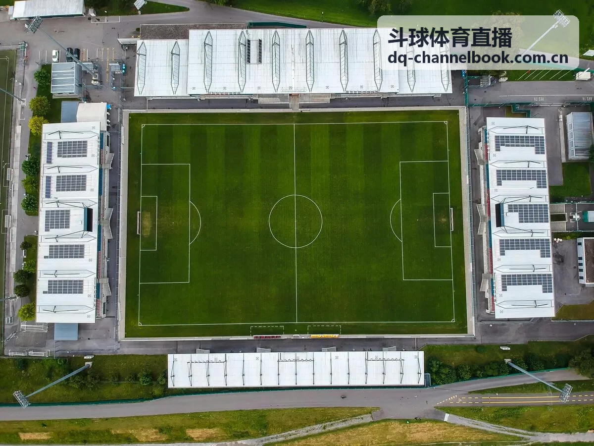 斗球体育直播音频同步增强技术
